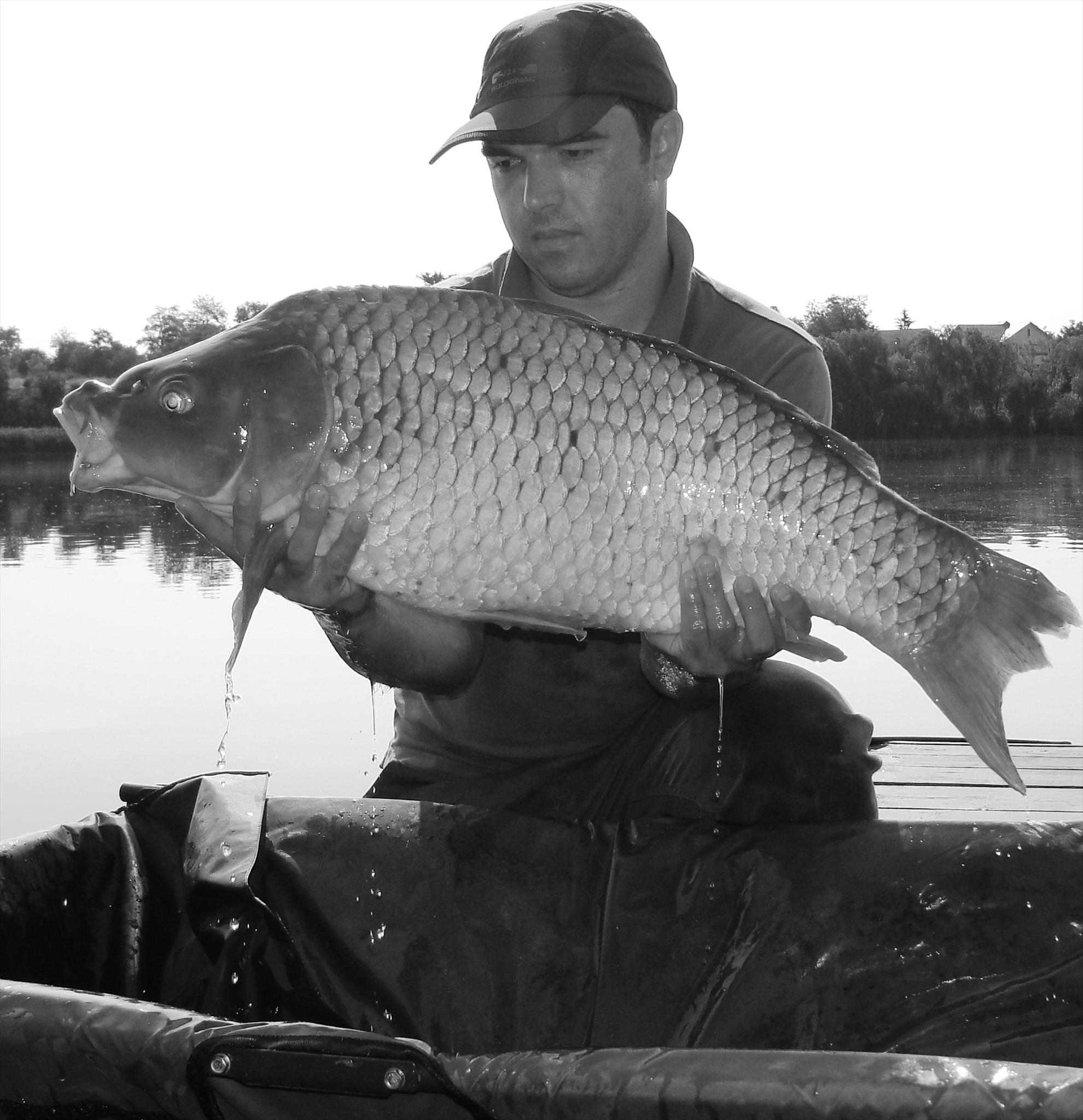 Moara Vlasiei 2 23 - 24 iun. - dsc00773.JPG